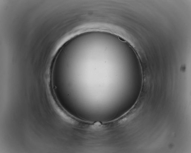 X0000101661523200807101243