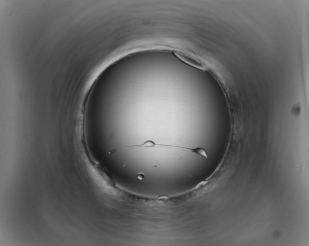X0000101661524200807101243