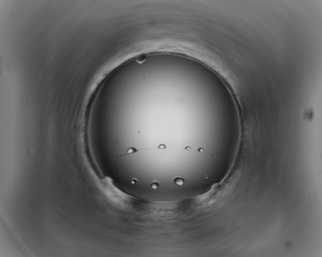 X0000101661525200807101243