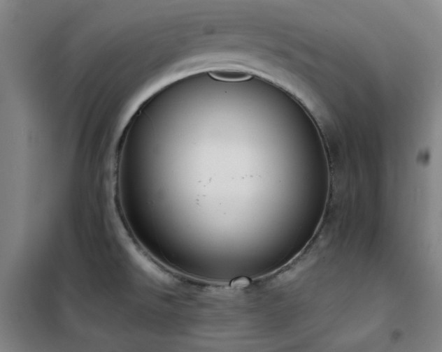 X0000101661526200807101243
