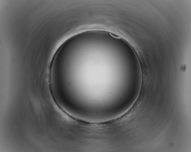 X0000101661527200807101243