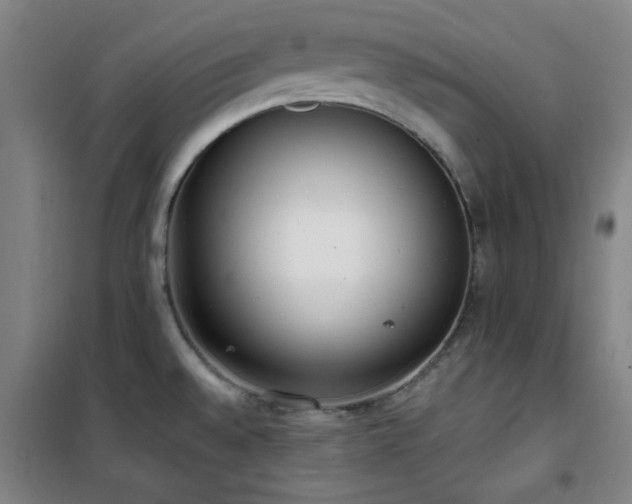 X0000101661528200807101243