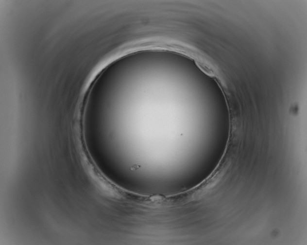 X0000101661530200807101243