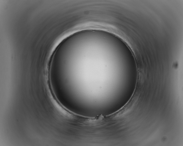 X0000101661531200807101243