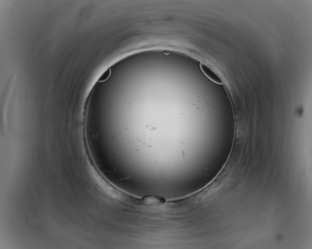 X0000101661532200807101243