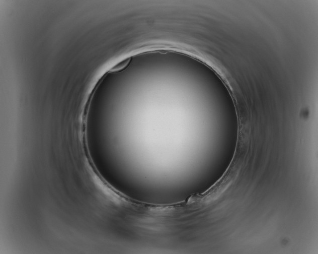 X0000101661535200807101243