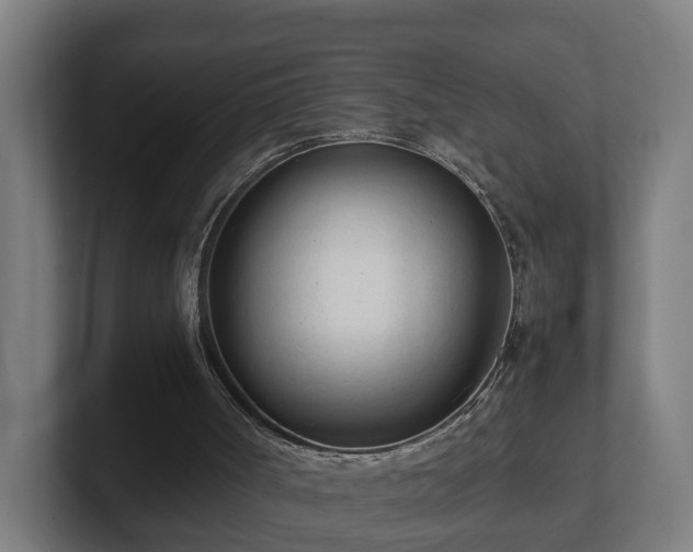 X0000101660002200807171324