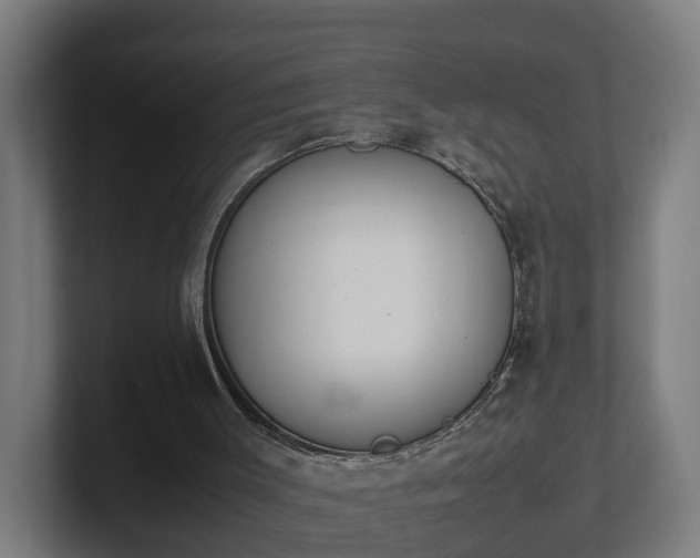 X0000101660003200807171324