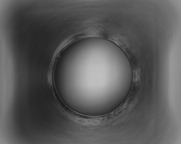 X0000101660004200807171324