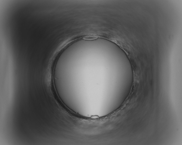 X0000101660005200807171324