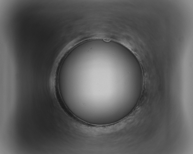 X0000101660007200807171324