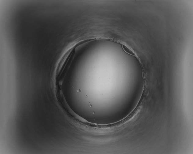 X0000101660008200807171324