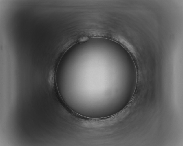 X0000101660009200807171324