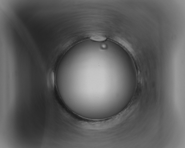 X0000101660013200807171324