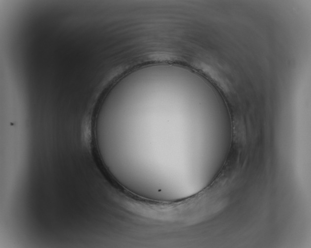 X0000101660015200807171324