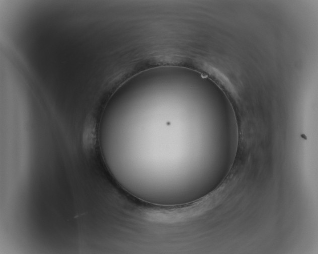 X0000101660017200807171324