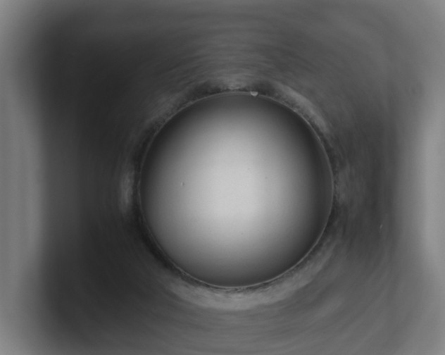 X0000101660018200807171324