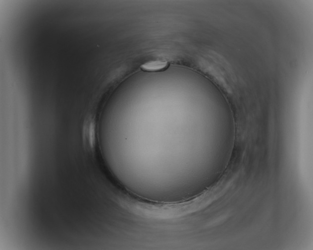 X0000101660019200807171324