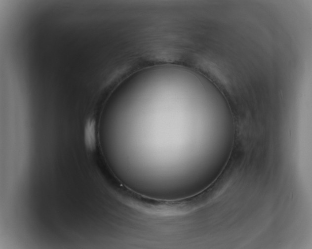 X0000101660020200807171324