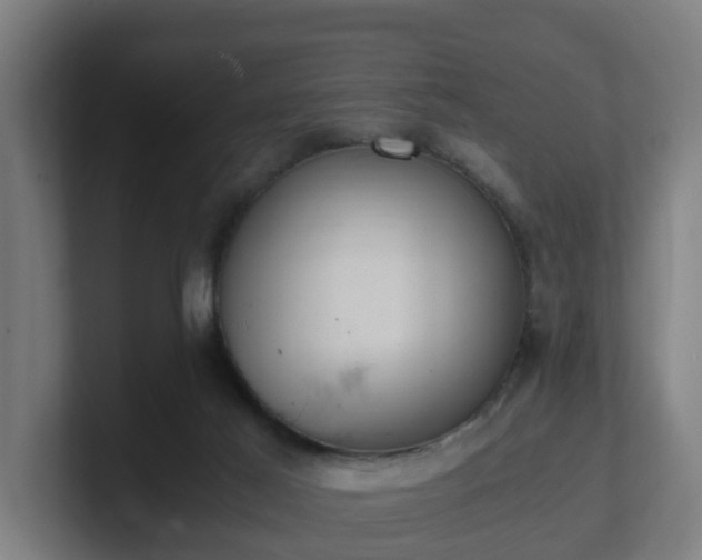 X0000101660021200807171324