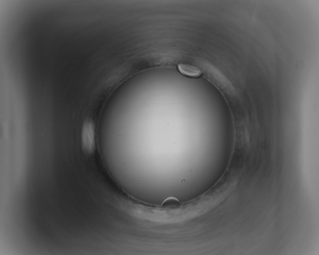 X0000101660022200807171324