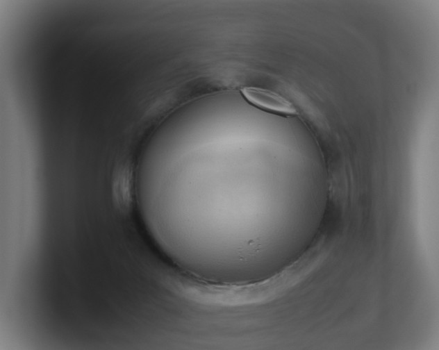 X0000101660023200807171324