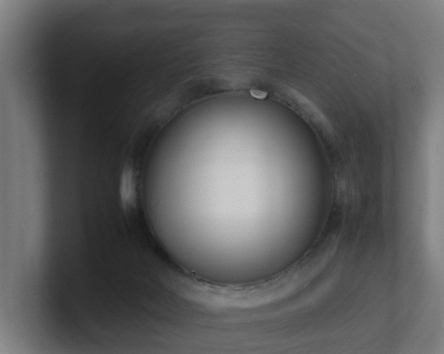 X0000101660026200807171324