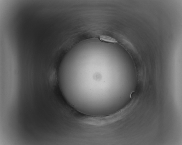 X0000101660029200807171324