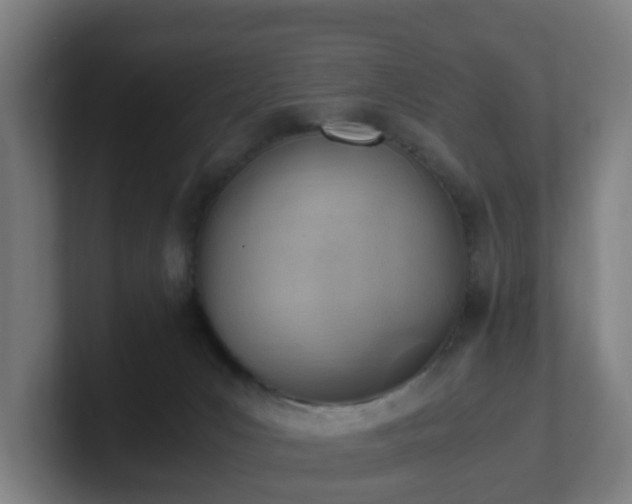 X0000101660031200807171324