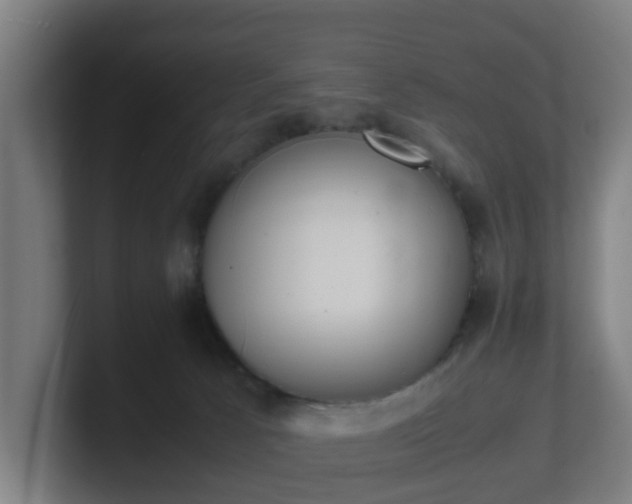 X0000101660033200807171324