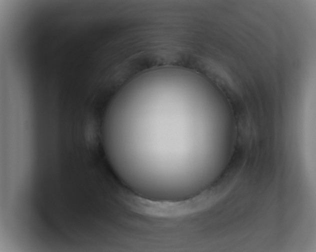 X0000101660034200807171324