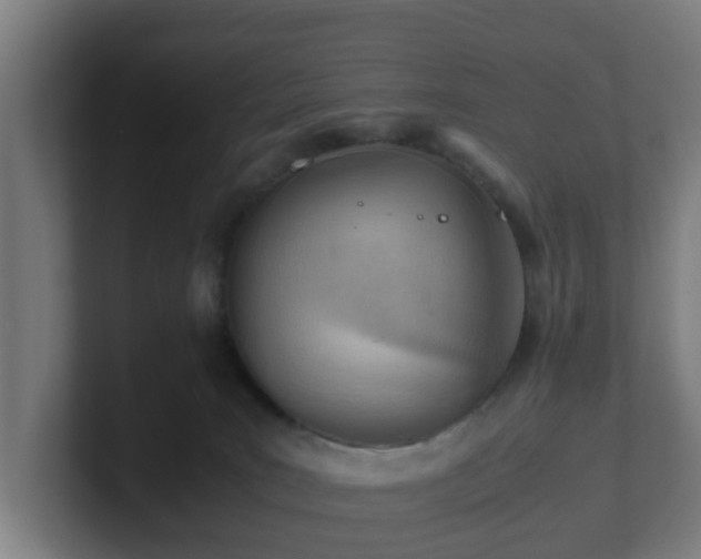 X0000101660035200807171324