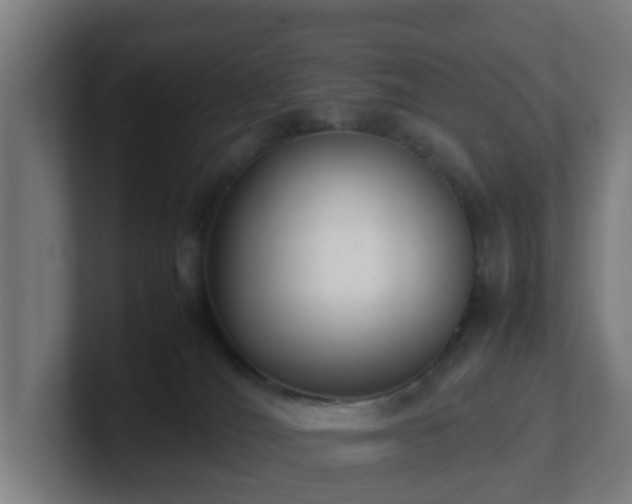 X0000101660036200807171324