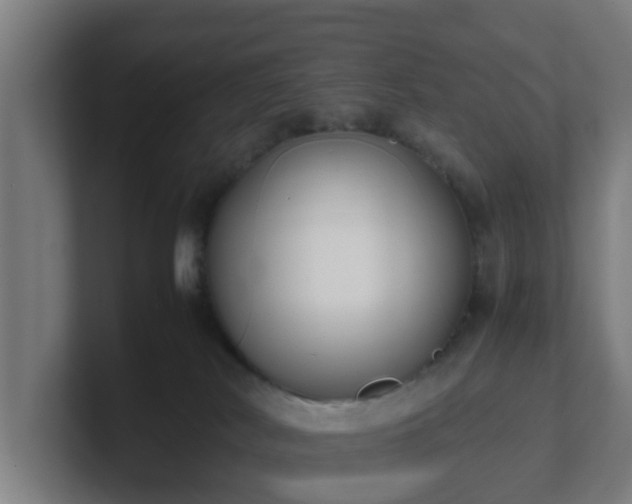 X0000101660038200807171324