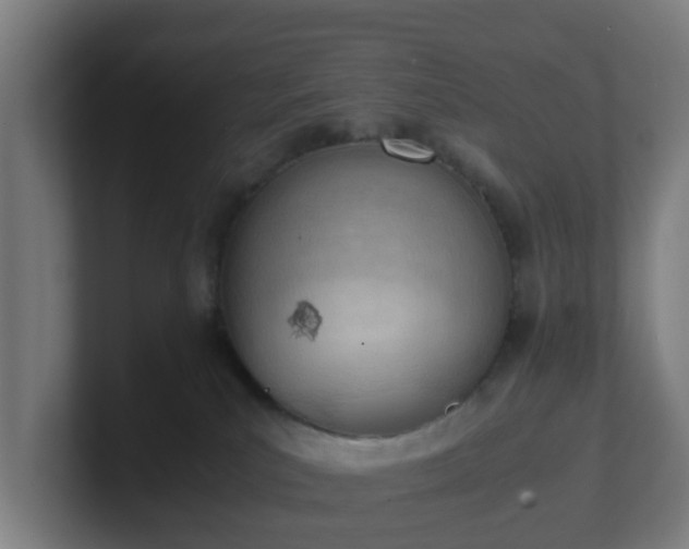 X0000101660039200807171324