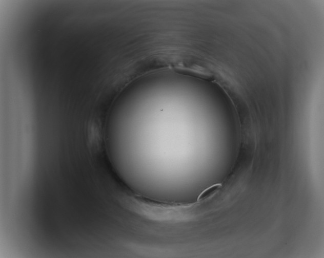 X0000101660040200807171324