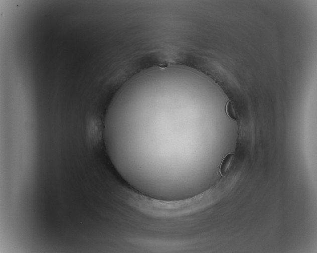 X0000101660043200807171323