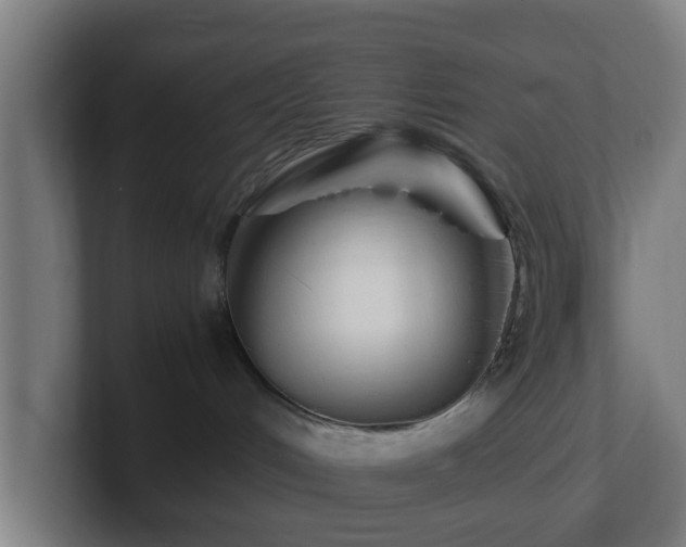 X0000101660048200807171323