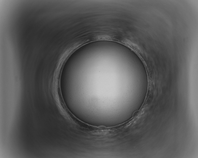 X0000101660049200807171323