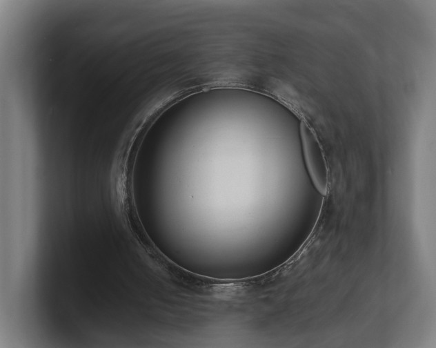 X0000101660050200807171323