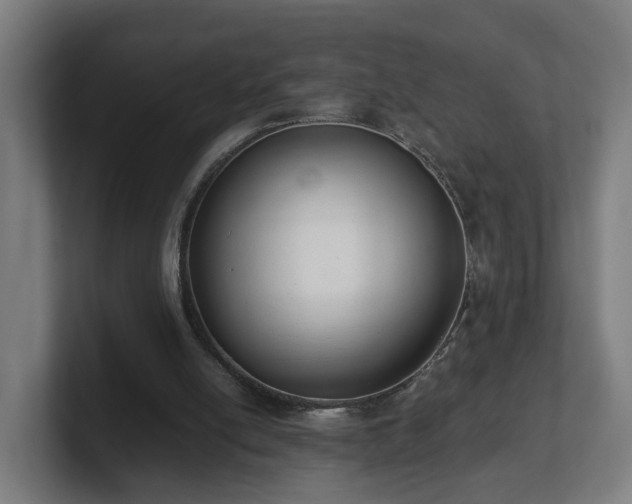 X0000101660054200807171323