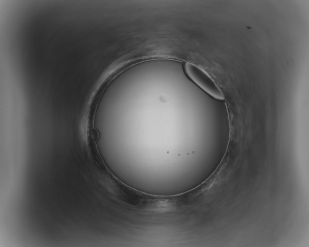 X0000101660056200807171323