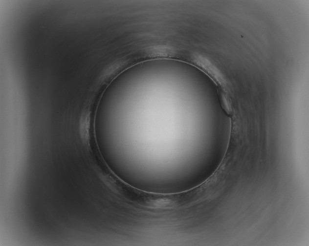 X0000101660058200807171323