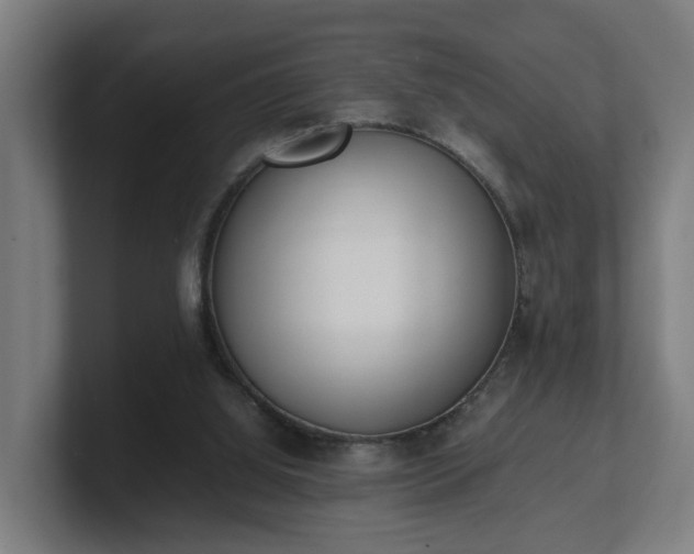 X0000101660060200807171323