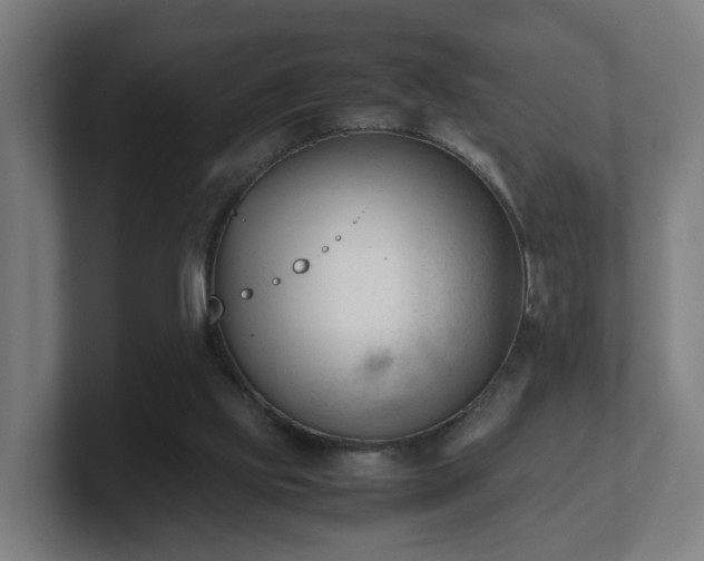 X0000101660061200807171323