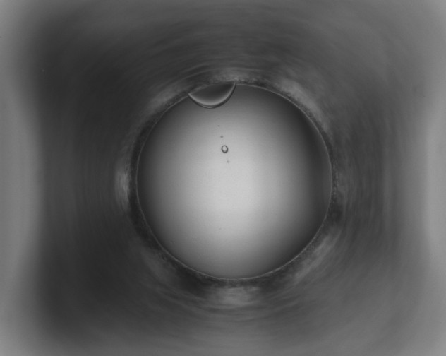 X0000101660063200807171323