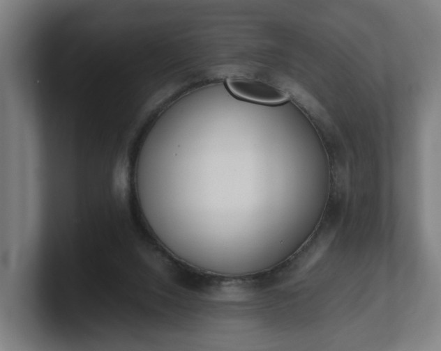 X0000101660064200807171323