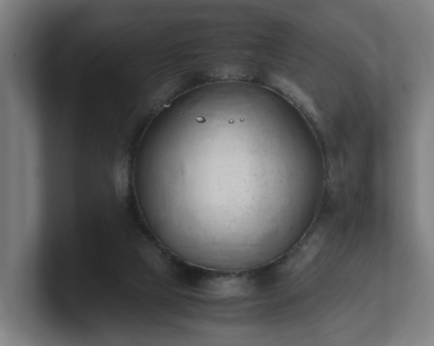 X0000101660065200807171323