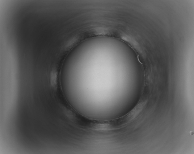 X0000101660066200807171323