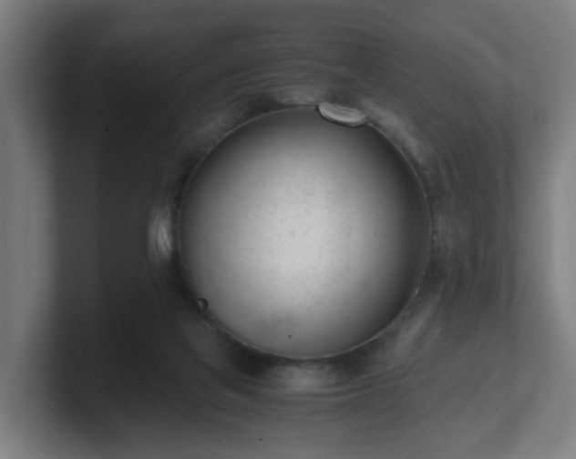 X0000101660069200807171323